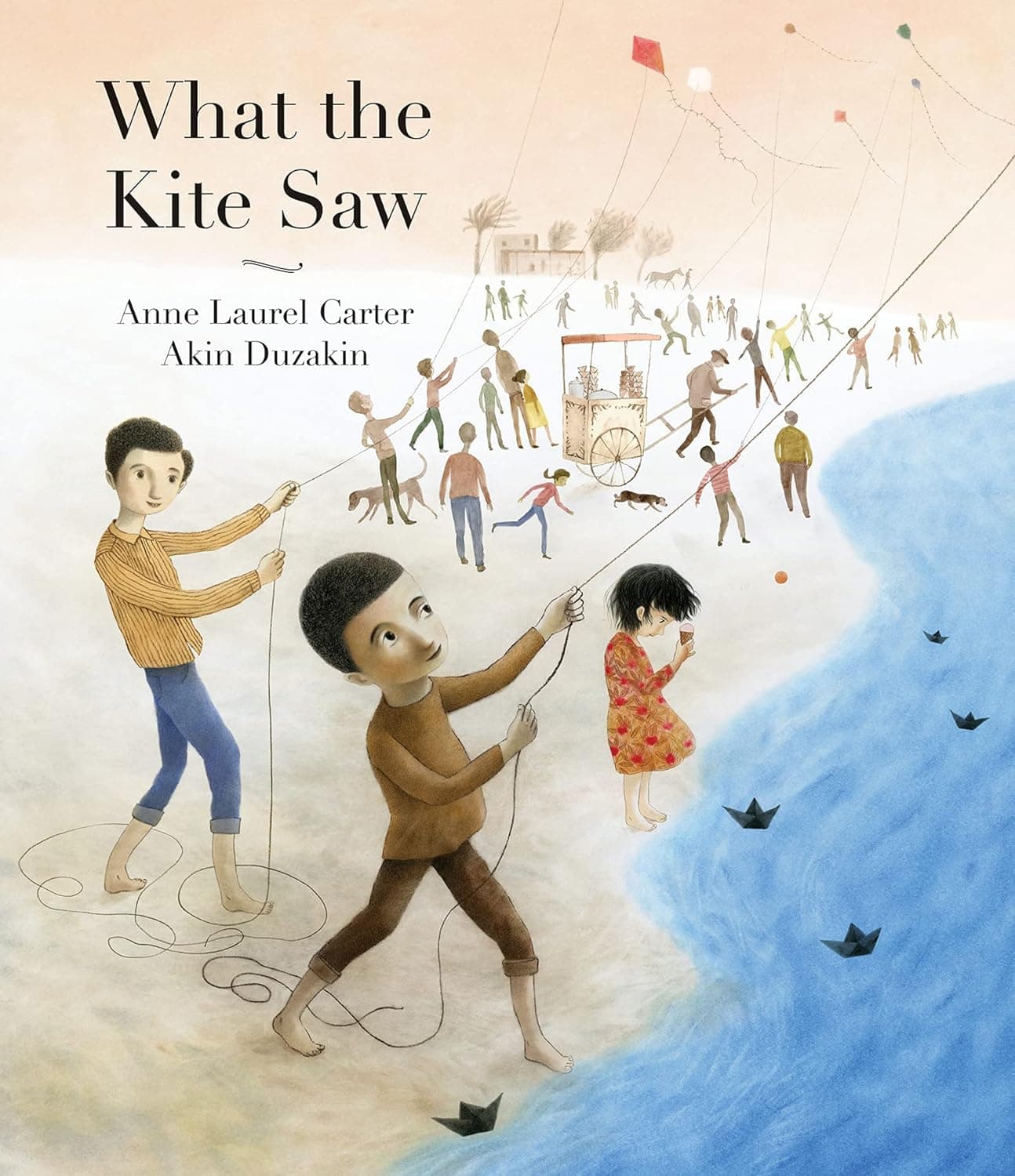 What the Kite Saw - Cover