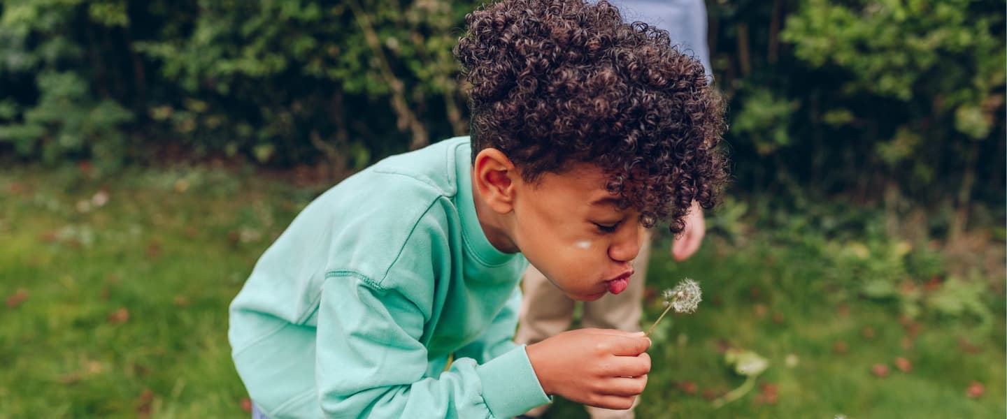 Mixed-heritage boy is blowing a dandelion in the garden.