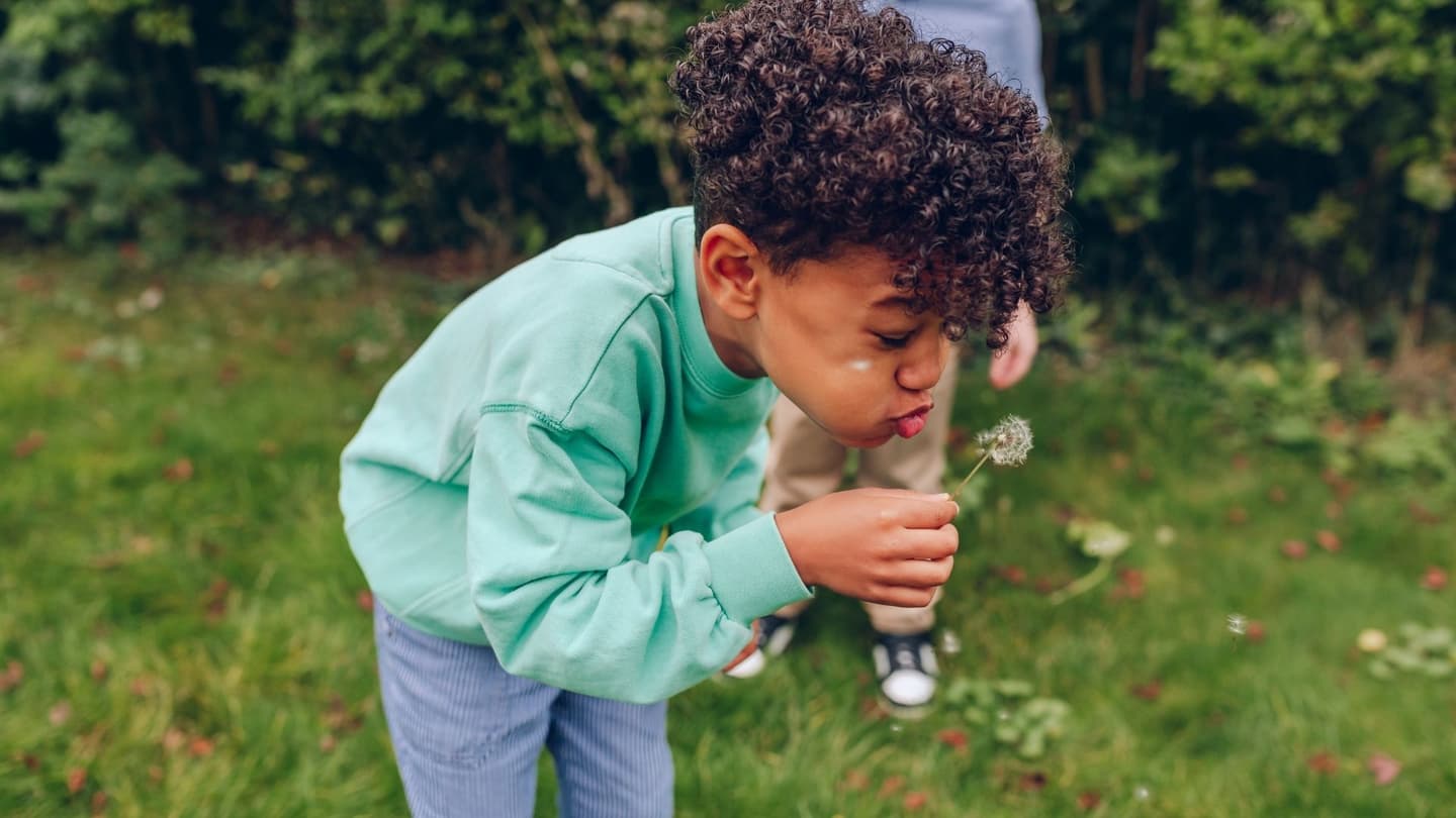 Bou blowing on dandelion in garden.