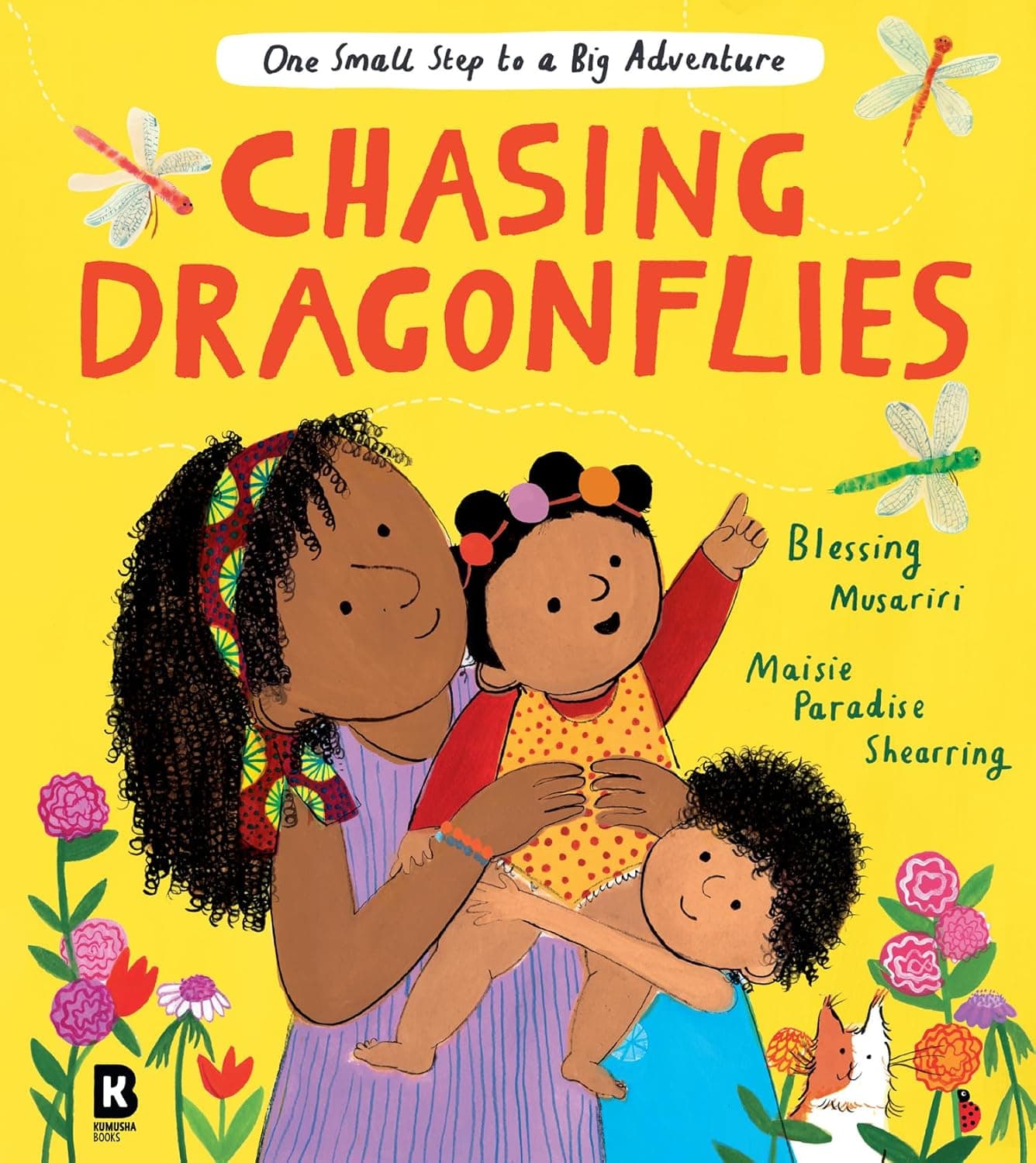Chasing Dragonflies - Cover